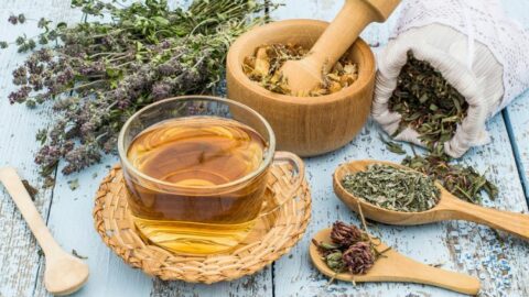 ¿Qué es la fitoterapia?