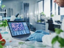 Técnico en Biotecnología Alimentaria