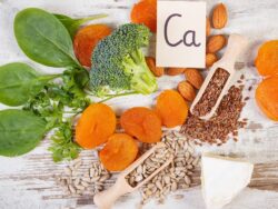 master-en-nutricion-y-dietetica-vegetariana