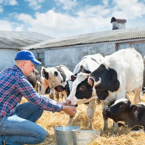 master-en-nutricion-y-dietetica-veterinaria-master-en-homeopatia-veterinaria