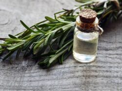 master-experto-en-naturopatia