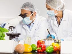 master-experto-en-seguridad-alimentaria
