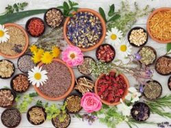 Curso naturopatía